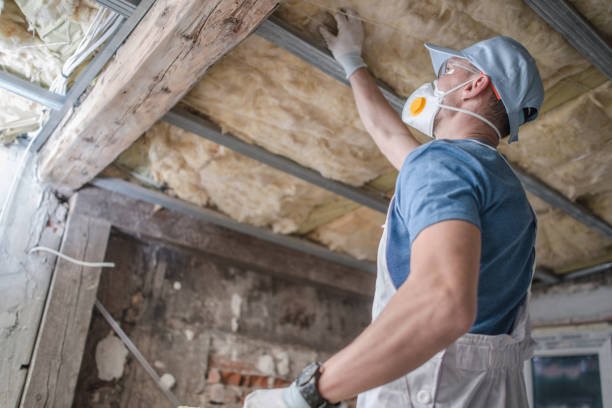 Best Wall Insulation Contractor  in Ellwood City, PA