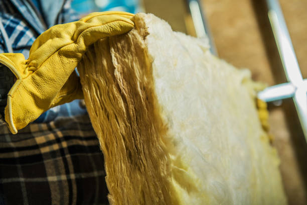 Best Soundproof Insulation Installation  in Ellwood City, PA