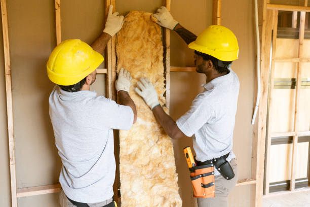 Best Blown-in Insulation  in Ellwood City, PA