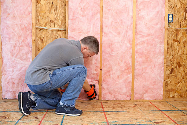 Best Affordable Insulation Services  in Ellwood City, PA