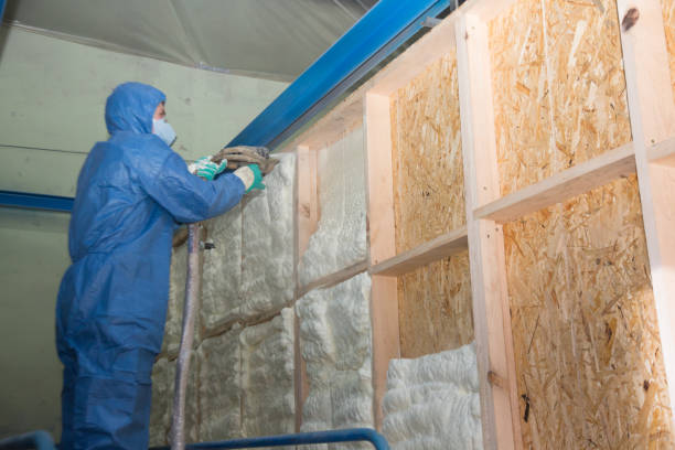 Best Best Insulation Companies  in Ellwood City, PA